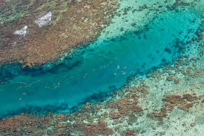 Snorkelers in crystal clear water above coral reef channel at Hol Chan Marine Reserve Belize