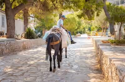Local man riding horse on cobblestone street in Hydra, Greece